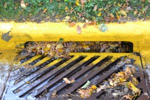 Storm Drain with leaves