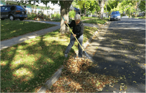 Raking leaves from the curb