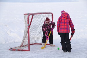 Frozen Assets Pond Hockey