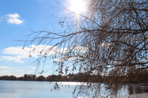 Lake with sun shining