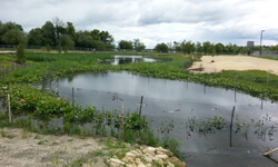 Stormwater Treatment Facility for UW-Madison
