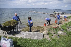 CG Schmidt Volunteer Day