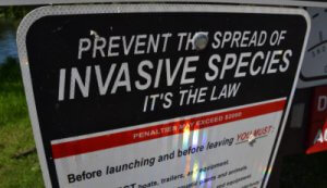 Stop the spread of invasive species sign