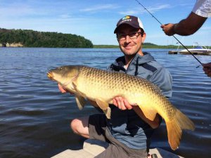 common carp