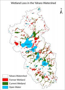 Wetland Loss in the Yahara Watershed