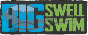 Big Swell Swim Madison Logo