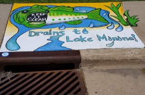City of Monona, "Adopt a Storm Drain" project