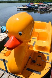 Duck Boat on Lake Wingra