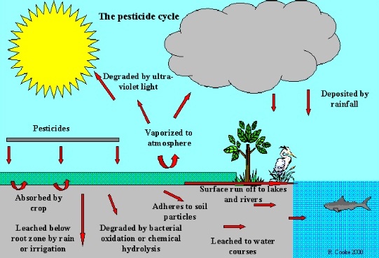 The Pesticide Cycle (R. Cooke, 2000)