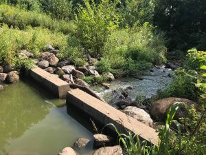 Middleton Stormwater Retention Pond
