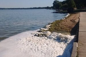 Shoreline Foam on Lake Mendota at James Madison Park