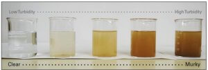 Turbidity Scale