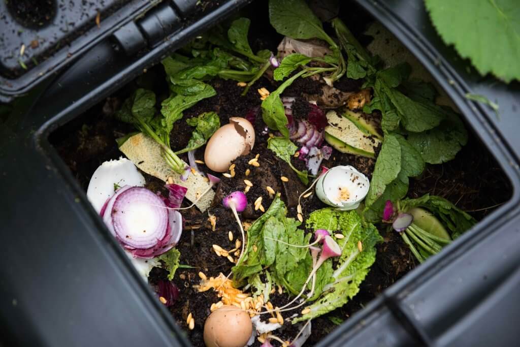 Start home composting