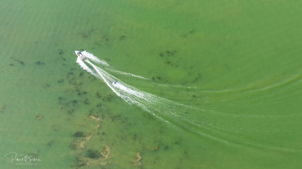 2024 Monitoring - Cyanobacteria bloom 2