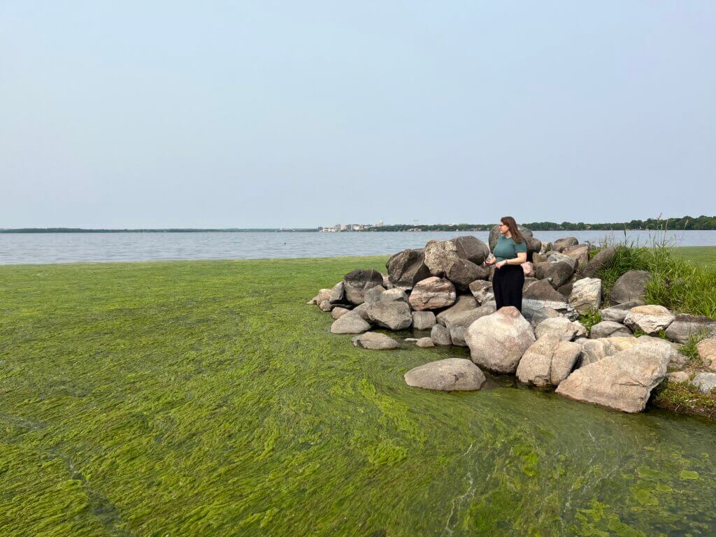 Clean Lakes Alliance staff observing a green algae mat at Olbrich Park