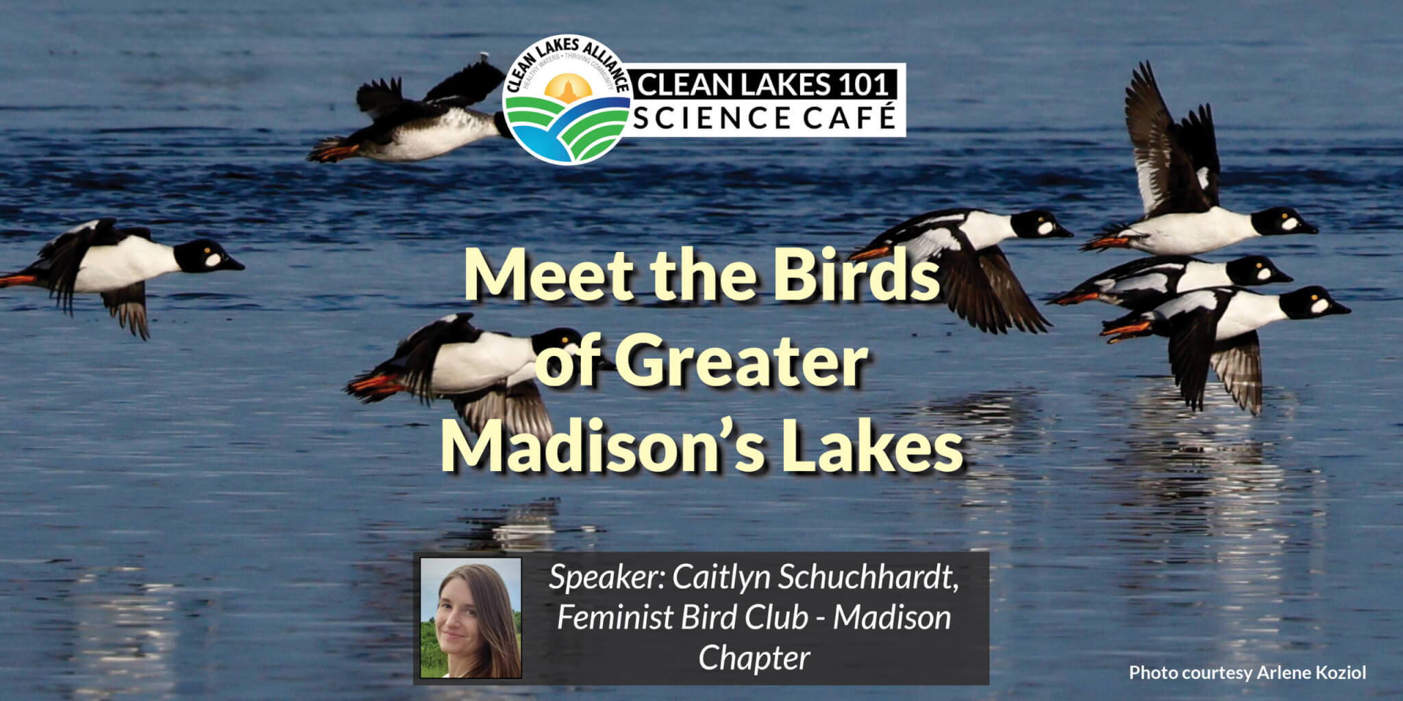 2026-7_CL101_header-web