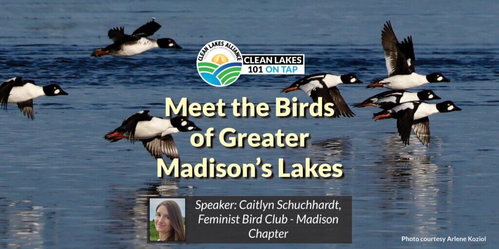 2026-7_CL101_header-web-small