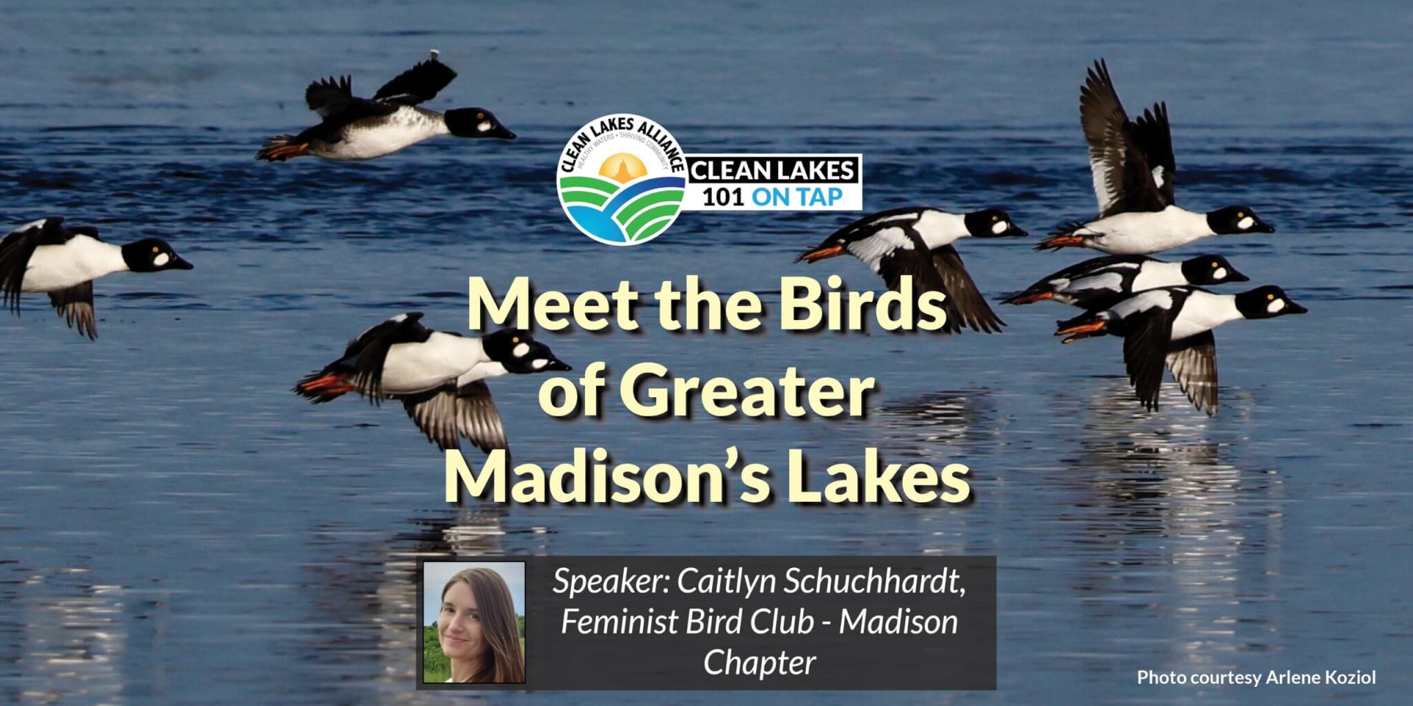 2026-7_CL101_header-web-small