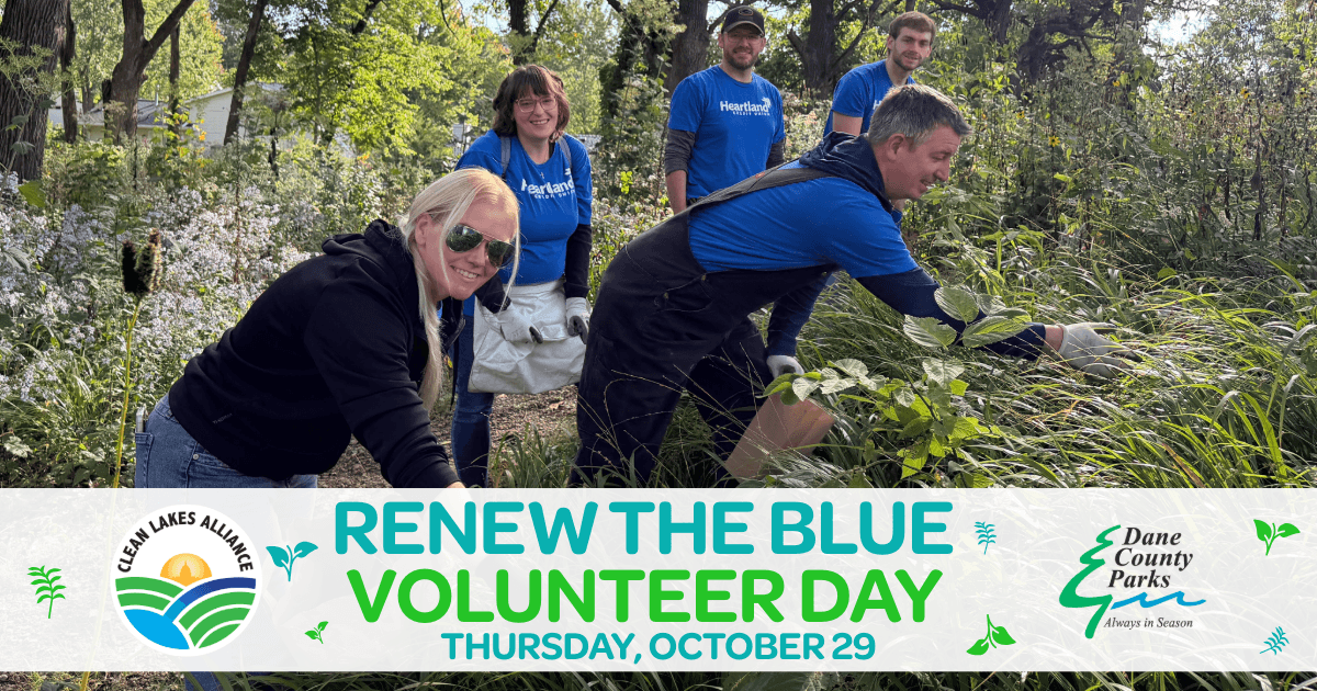 29Oct 2026 Volunteer Day