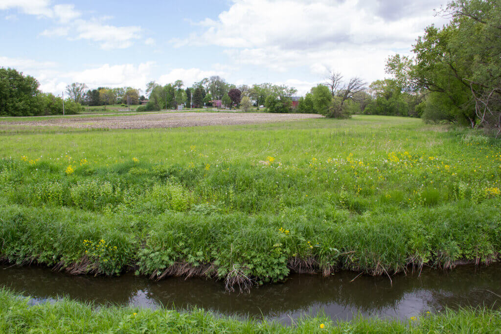 Buffer strip in Dane County. Photo courtesy Dane County Land & Water Resources.