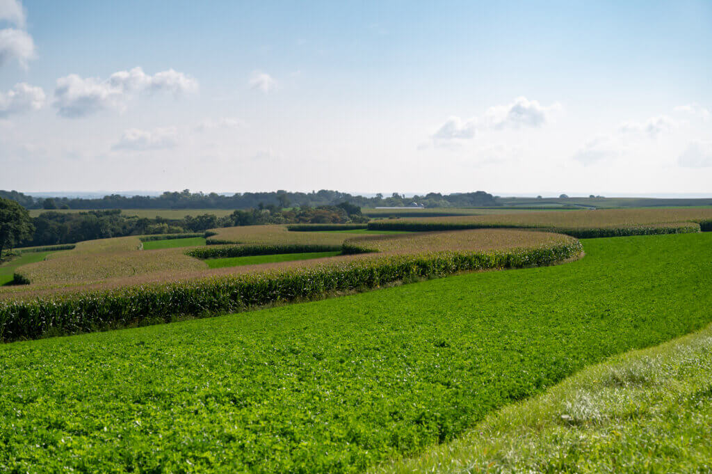 Contour planting shown at Kellercrest Registered Holsteins in Mt. Horeb, Wisconsin.