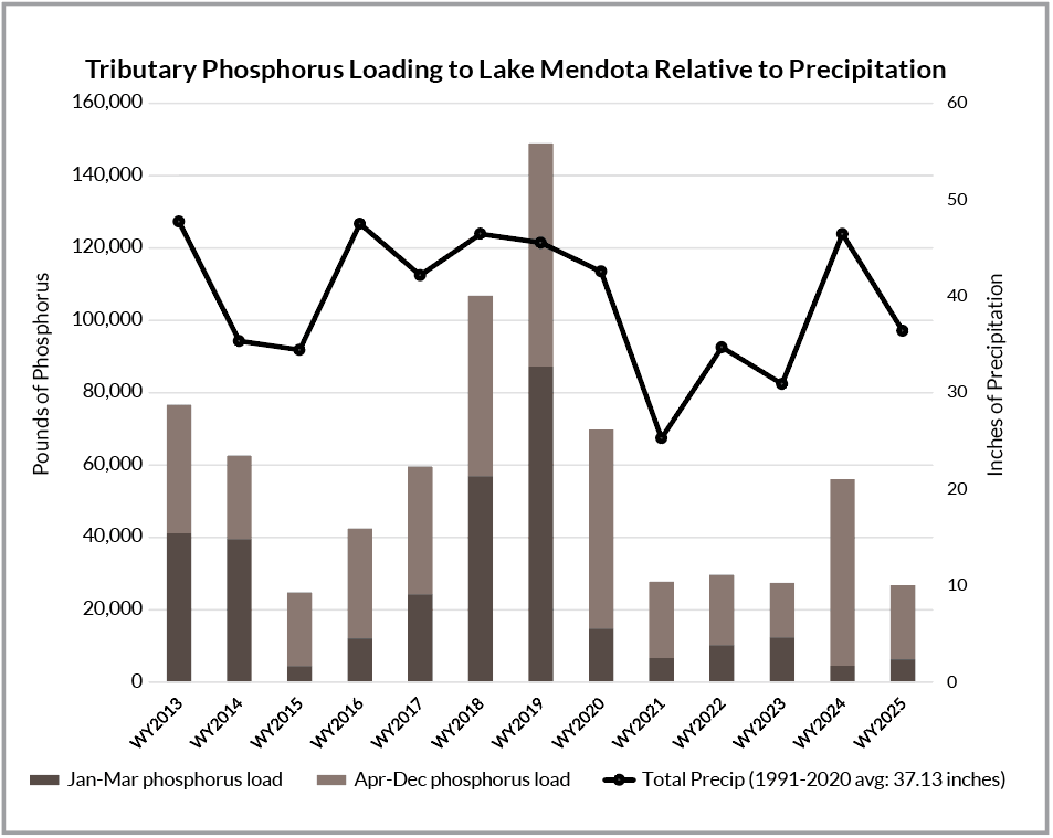 Figure 4: Phosphorus loading through Lake Mendota's monitored stream tributaries in relation to total precipitation by water year (Oct. 1 - Sep. 30). Phosphorus loading data credit: U.S. Geological Survey. Precipitation data credit: NOAA Regional Climate Center, Dane County Regional Airport.