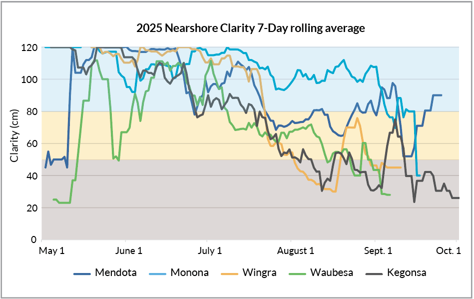 Figure 9: Nearshore clarity (7-day rolling average) recorded from June 1 - August 31, 2025. Measured in centimeters using a 120-cm turbidity tube and displayed relative to Clean Lakes Alliance's good (80-120 cm), fair (50-80 cm), and murky (0-50 cm) clarity classifications. Data credit: Clean Lakes Alliance LakeForecast Program.