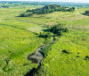 View of Frederick's Hill in the background at Pheasant Branch Conservancy, with Frederick's Spring near the grouping of trees in the center of the photo. Pheasant Branch Creek extends toward the bottom of the photo from the spring. Photo courtesy Robert Bertera.
