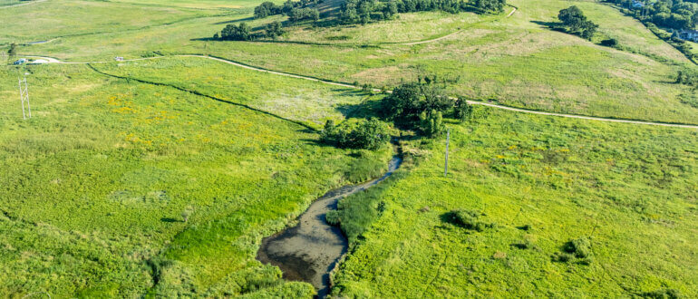 View of Frederick's Hill in the background at Pheasant Branch Conservancy, with Frederick's Spring near the grouping of trees in the center of the photo. Pheasant Branch Creek extends toward the bottom of the photo from the spring. Photo courtesy Robert Bertera.