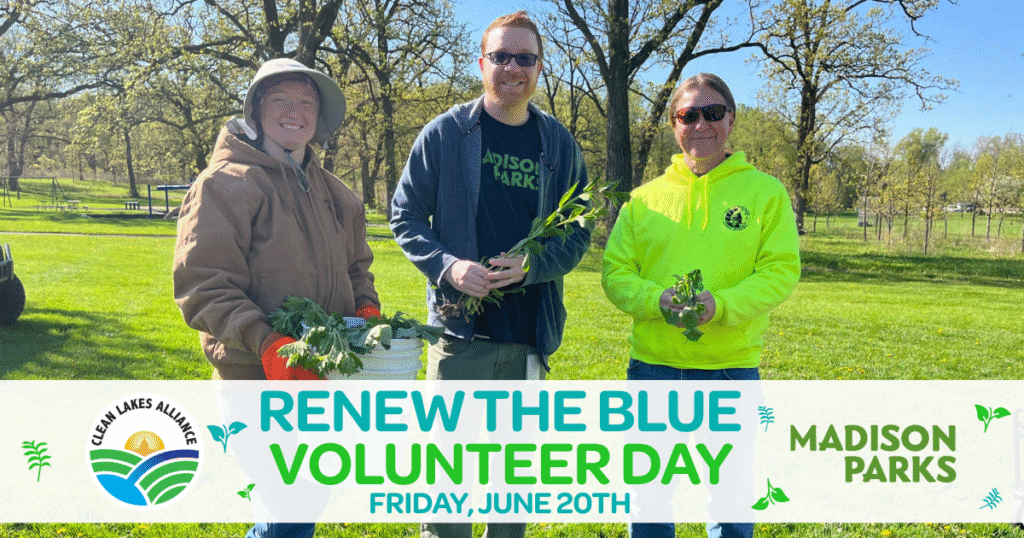 June 2025 Volunteer Day