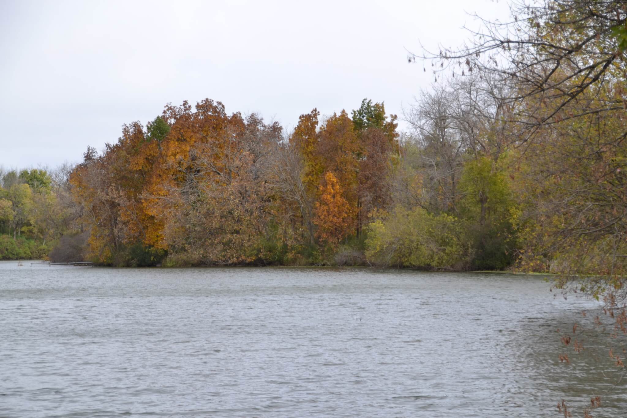 Lake Kegonsa Clean Lakes Alliance