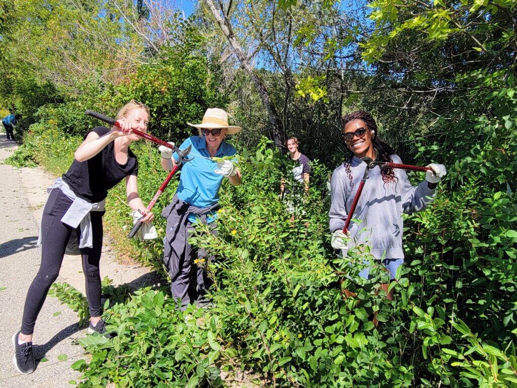 Removing woody invasives from UW-Madison Lakeshore Nature Preserve with National Guardian Life Insurance Company and Hovde Foundation