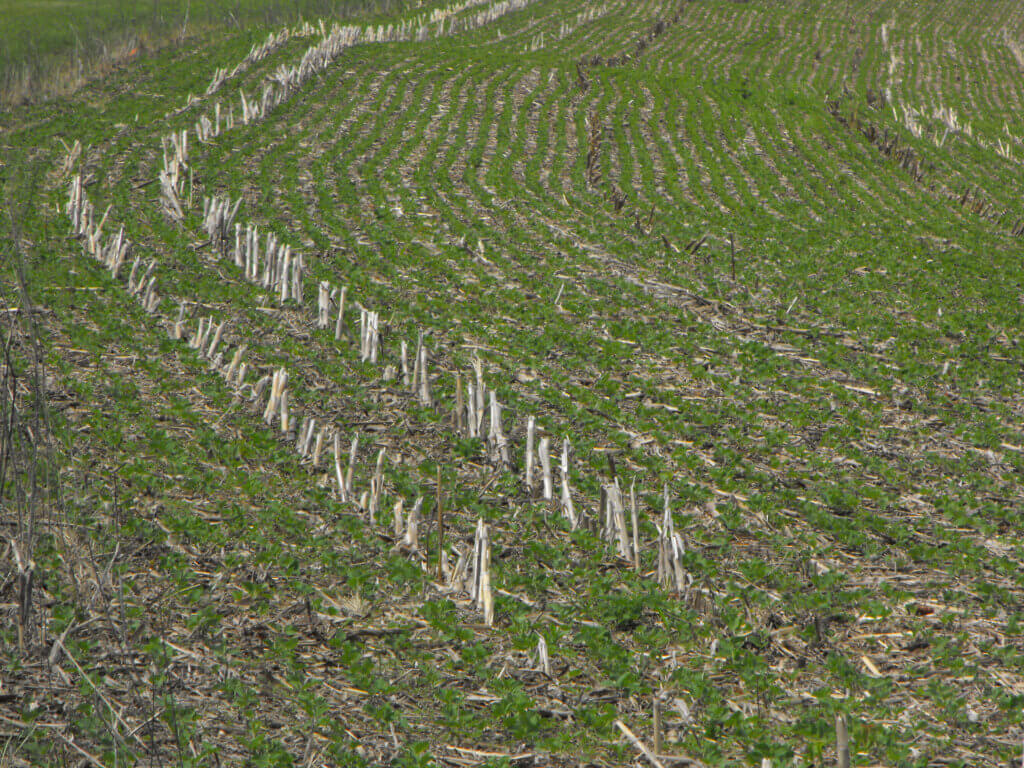 No-till farming. Photo courtesy Dane County Land & Water Resources.