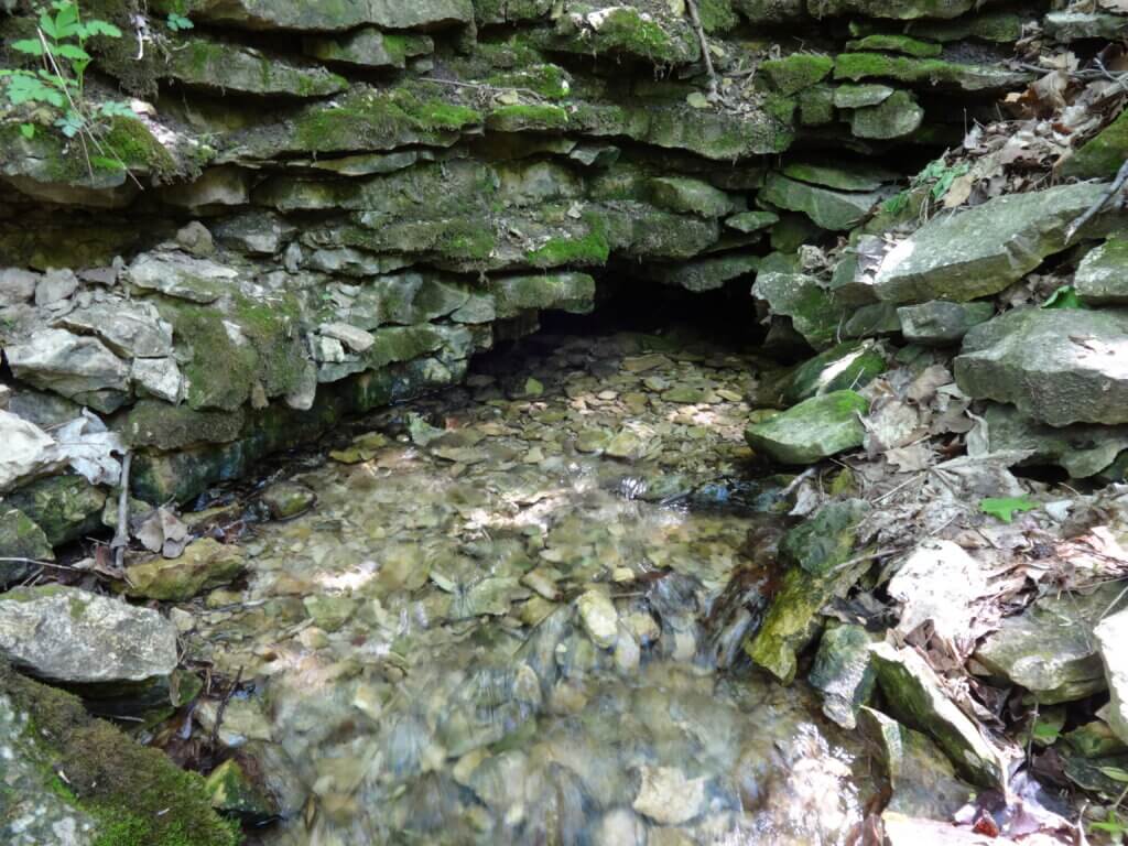A spring emerges from a fracture in exposed rock, known as a “fracture spring.” Photo courtesy Wisconsin Geological and Natural History Survey.