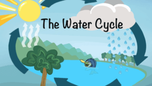 The-Water-Cycle