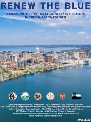 Renew the Blue Cover page Renew the Blue Cover page