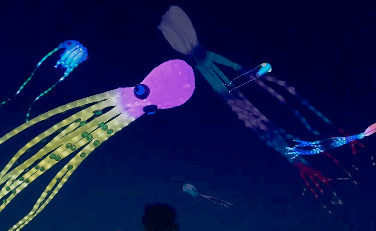 Kites on Mendota Night Fly