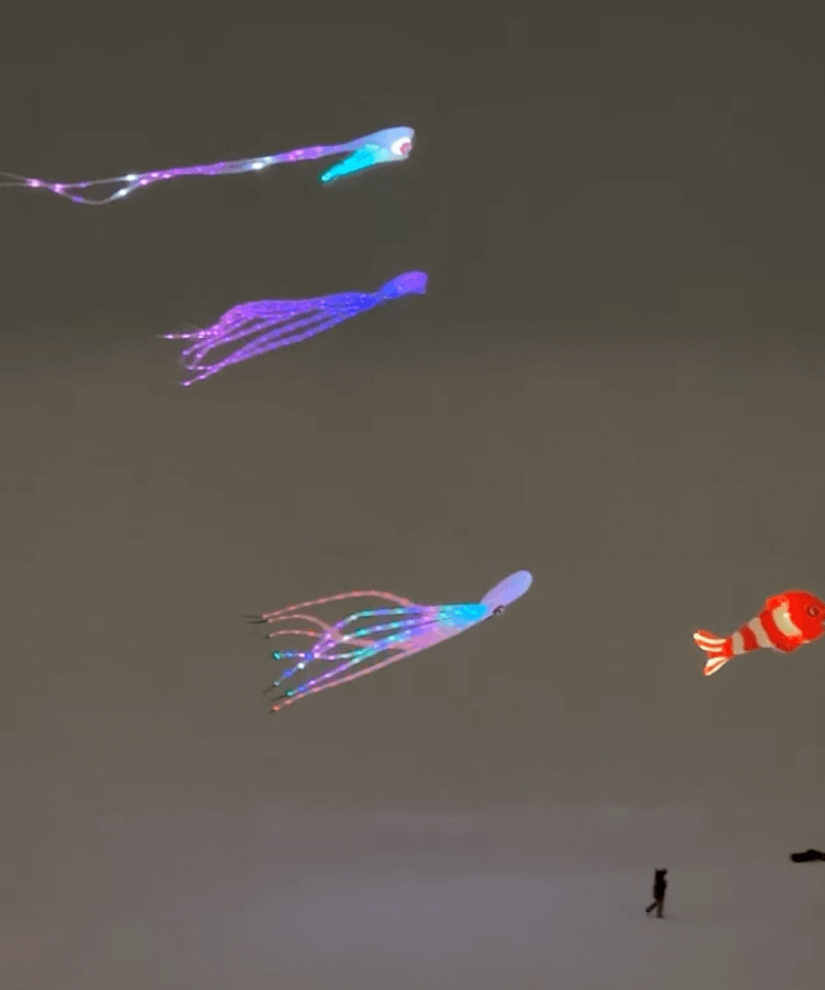 Kites on Mendota - Night Fly 2023
