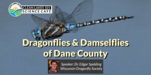 2025-6_CL101_header-web-small