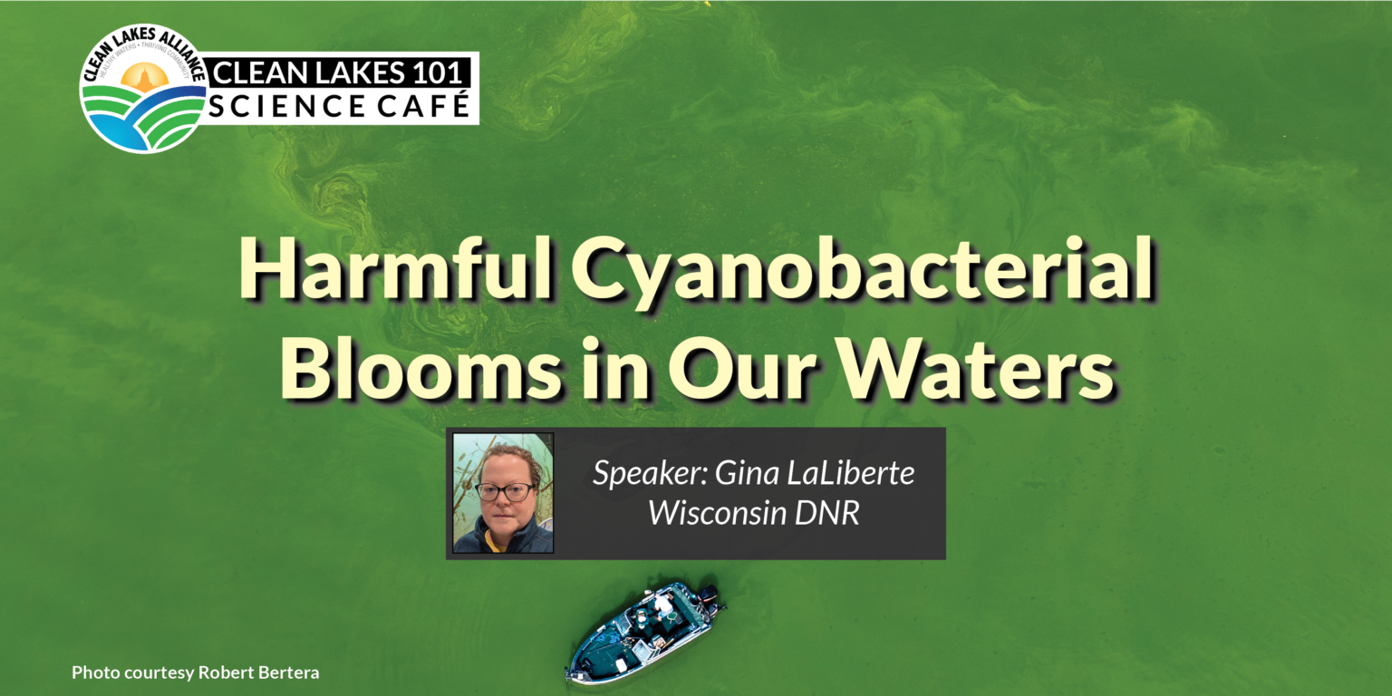 Bio Clean Lake Clean Lakes 101: Harmful Cyanobacterial Blooms in Our Waters - Clean ...