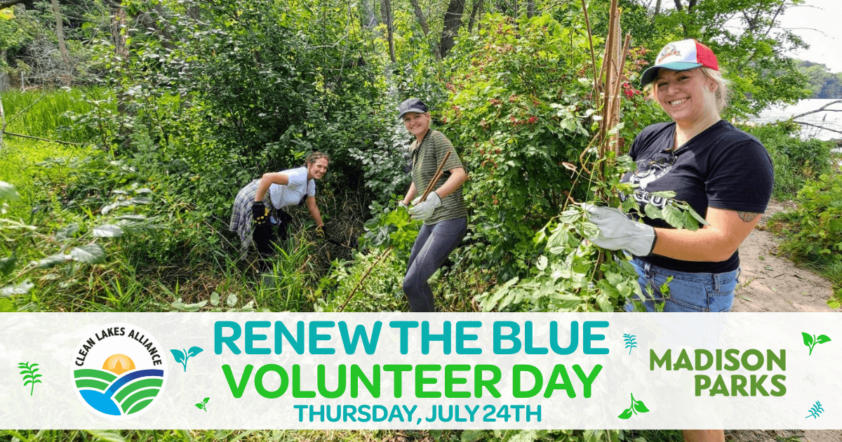 July 2025 Volunteer Day July 2025 Volunteer Day