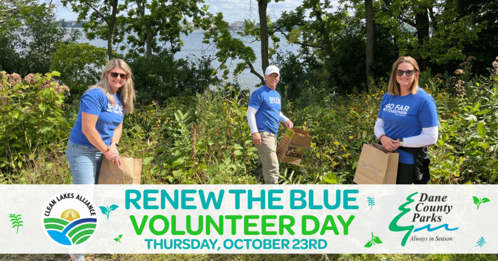 October 2025 Volunteer Day #3