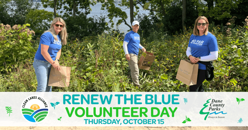 15Oct 2026 Volunteer Day