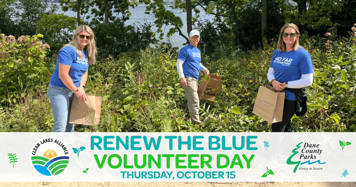 15Oct 2026 Volunteer Day