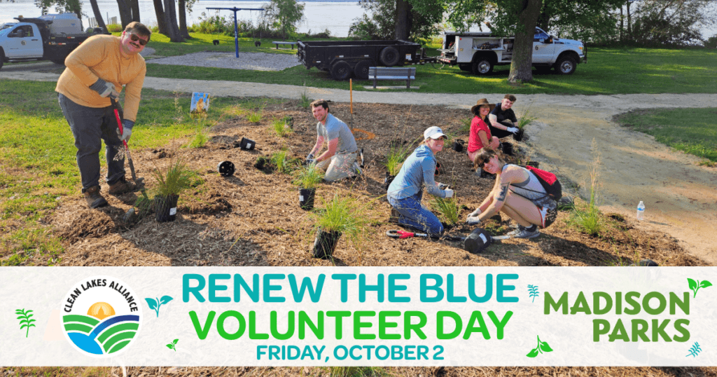 October 2026 Volunteer Day